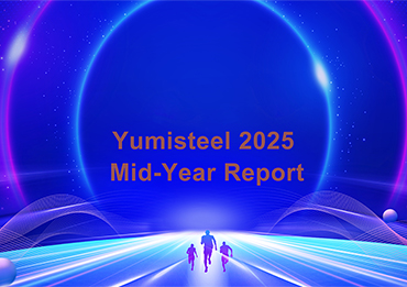 Полугодовой обзор Yumisteel 2025